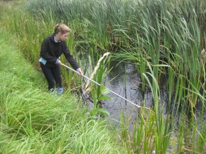 Silke  probeert de waterorganismen te overtuigen zich beschikbaar te stellen voor de wetenschap.